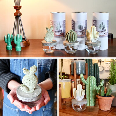 DULTON(ダルトン)CACTUSFRAGRANCEDIFFUSER:カクタスフレグランスディフューザーはバリエーションをお選びいただけます