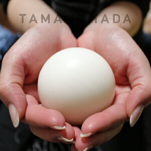 TAMANOHADA\[v(125g)^ʂ̔^^}mn_^\[v^Ό^ʂ̔Ό^{^Af