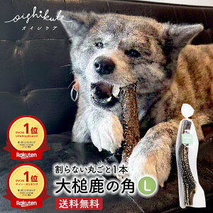 yʌSSzzyV1ʁ2 ̊p  ̍ Ύ p ^ ̃cm p    [ICVNe] ^ L / M / S TCY 1{ Y Y K ^ K  {[ 