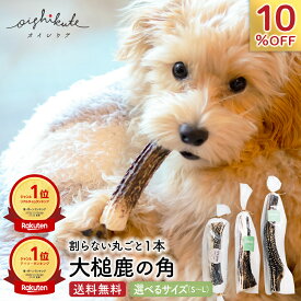 【40%オフCP配布】楽天1位＆2冠 鹿の角 犬 鹿角 おもちゃ おやつ 鹿の骨 歯石取り 犬用 大型犬 角 犬 噛む [オイシクテ] 中型犬 L / M / S サイズ 1本 国産 無添加 歯磨きガム 小型犬 ガム 骨 ボーン 鹿角 角 シカの角 硬い 長持ち 犬のおもちゃ レビューキャンペーン