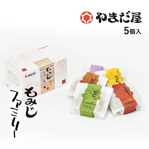 yHtFX300~OFF(t)z݂t@~[5(EԂEN[EE`R)@݂\܂@LyY Mtg