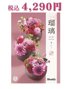 uAS YOU LIKE AY[CN J^OMtg(ڗ qȂł CO)vŃJ^O Lxȕi IׂJ^OMtg Hi G s ̌ ϔ i ԗi afUC 