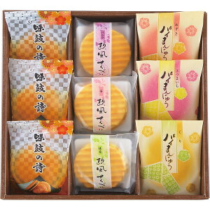 「菓子匠 河内駿河屋 創菓京づる 極庵(きわみあん)9ケセット (DSS-15)」和菓子詰合せ 和菓子アソートセット 全て個包装 小分け 粗品 景品 ご挨拶 婚礼 結婚 出産 内祝 入学進学内祝 快気祝 御礼