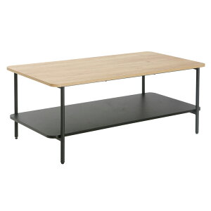 �Z���^�[�e�[�u�� JSE-100 ��100cm