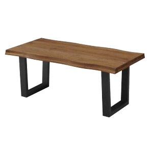 Z^[e[u fBX Lodis EH[ibgF 100cm