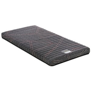 ߂XvO}bgX tH[hGA[ FD-100 VOTCY