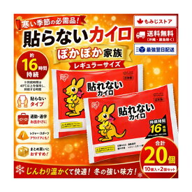 アイリスオーヤマ カイロ レギュラー 10個入×2個セット 使い捨てカイロ 貼らないタイプ 防寒 寒さ対策 冬 防災 備蓄 ぽかぽか家族 ホッカイロ まとめ買い あったかグッズ