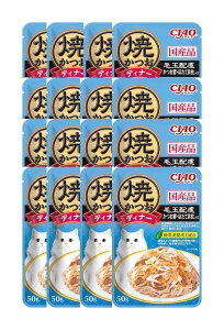 Ȃ CIAO(`I) ĂfBi[ LpقĊL 50g×16 L L Lp  EFbg Lbgt[h lC  VjA VL