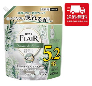 tAtOX n~OtA T{fT{ lߑւ 2000ml  J̓  ₩  ꂢ  ߗ ÓdC hL R Ԃ xr[ 