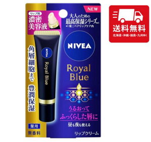 ԉ jxA Cu[bv ZePA 6g bv PA ێ 