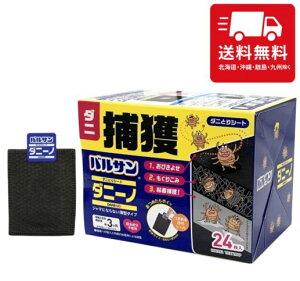 bN oT _j߂V[g _j[m (24) ߊl_jƎ̂Ă _j V[g ߊl