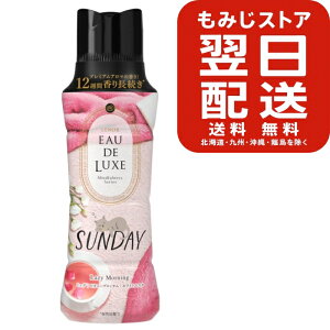 レノア オードリュクス 香り付け専用ビーズ マインドフルネス サンデー 本体(520ml) 部屋干し 雨の日 部屋 かろやか 香る きれい 清潔 衣類 静電気 防臭 抗菌 赤ちゃん ベビー 洗濯