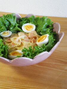 RINKA 22cm ボウル 輪花鉢 常滑焼 日本製