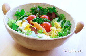 サラダボール 常滑焼 日本製