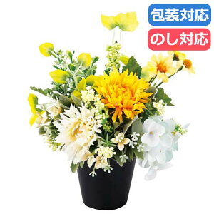 yN[|Lzy15%OFFz Ε ~Mtg Mtg  qSCG}HrA[eBtBVt[ԁ@r݁qCG[r  Mtg   3000~ lC 2000~ hV v[g Cx