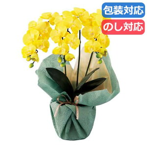 yN[|Lz Ε ~Mtg Mtg ϗtA yz qSCG}Hr~jӒO{iA[eBtBVt[jqCG[r ϗtA Mtg ϗtA 9000~ lC 8000~