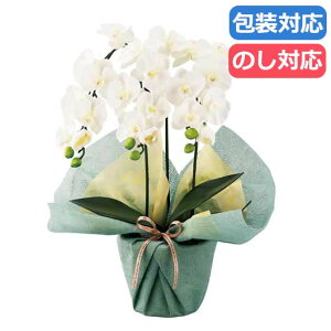 yN[|Lz Ε ~Mtg Mtg ϗtA yz qSCG}Hr~jӒO{iA[eBtBVt[jqzCgr ϗtA Mtg ϗtA 9000~ lC 8000~