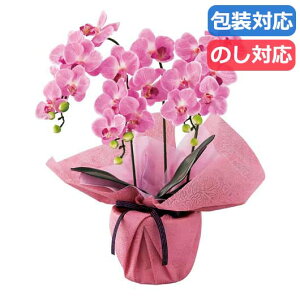 yN[|Lz Ε ~Mtg Mtg ϗtA yz qSCG}Hr~jӒO{iA[eBtBVt[jqtbVsNr ϗtA Mtg ϗtA 9000~ 