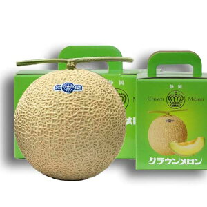 お歳暮 冬ギフト フルーツ 【送料無料】 静岡 クラウンメロン 2玉 フルーツ 御歳暮 冬ギフト 結婚 出産 内祝い 香典返し 快気祝い お返し お礼 ギフトセット 詰め合わせ お年賀 プチギフト