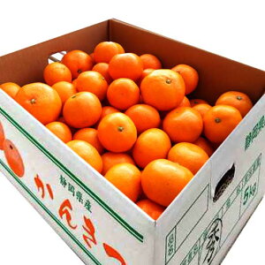 yN[|Lz Ε ~Mtg t[c yz É@݂@5Kg t[c Ε ~Mtg  oY j TԂ Cj Ԃ  MtgZbg lߍ킹 N 