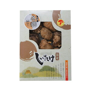 hV̓ O Mtg  yz Y؊őǂ񂱁i75gj  Mtg  3000~ lC 3000~ hV v[g Cxg Y Z[ sale