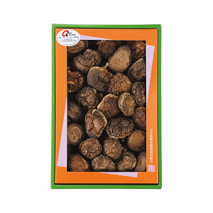 Ε ~Mtg O Mtg  yz q啪ő_Ƌgr啪Y@ǂ񂱒ői80gj  Mtg  4000~ lC 4000~ hV v[g Cxg Y 