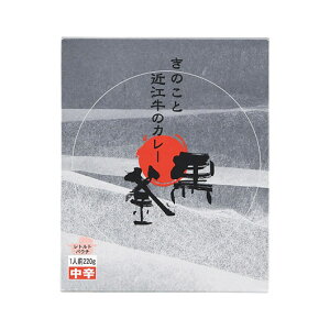 Mtg J[ @̂Ƌߍ]̃J[i220gj J[ Mtg J[ 500~ lC 500~ hV v[g Cxg Y Z[ sale