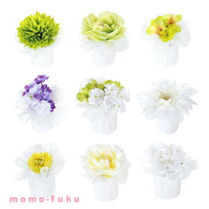 y10%OFFz nEB َq  uEu@Pi hWF v`Mtg َq v`Mtg hWF 300~ lC 200~ hV v[g Cxg Y XC[c Z[ sale