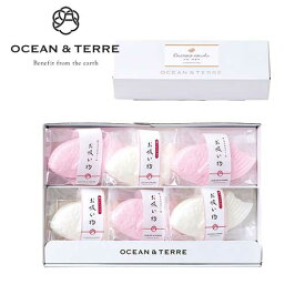 【クーポン有】 バレンタイン お吸い物 プチギフト お吸い物 鯛のお吸い物最中セットB お吸い物 オーシャンテール 出産内祝い 出産 内祝 プチギフト お吸い物 2000円 人気 2000円台 敬老会 プレゼント 結婚式 二次会 国産 セール