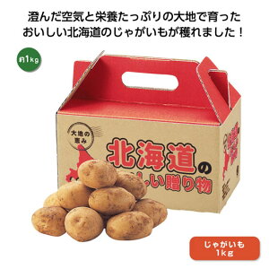 じゃがいも 1kg イモ類の人気商品 通販 価格比較 価格 Com