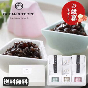 お歳暮 冬ギフト お吸い物 お歳暮 冬ギフト 【送料無料】 【お歳暮】富士絶景手作り最中&日本茶セット お吸い物 オーシャンテール 敬老会 プレゼント デイサービス お歳暮 ギフト お吸い