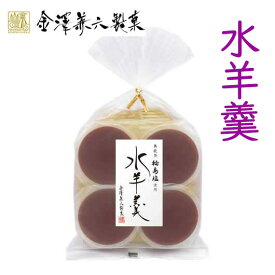 【P最大47倍】【20%OFF】 御礼 【送料無料】 輪島塩水羊羹【24個単位】 羊羹 手土産 プチギフト お菓子 プチギフト 激安 羊羹 400円 人気 300円台 敬老会 プレゼント イベント 国産 スイーツ 和装 和風 セール sale