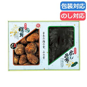 yN[|Lz   Mtg  yz Y@؂ǂ񂱒őEzl  Mtg  5000~ lC 5000~ hV v[g Cxg Y Z[