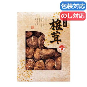 yN[|Lz   Mtg  yz Yǂ񂱒ő  Mtg  4000~ lC 4000~ hV v[g Cxg Y Z[ sale