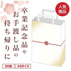  2026 Ɩp̑i ܁EMtgobO yz 񂰎܁@A3@~сi50j ܁EMtgobO ̑i ܁EMtgobO 9000~ lC 9000~ hV v[g Cxg Z[