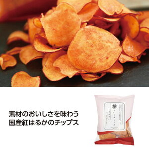 yN[|Lz Mtg 傤 yz y72Pʁz`bvX@傤䖨 傤 Mtg 傤 600~ lC 500~ hV v[g Cxg Y Z[ sale