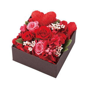 yN[|Lz Ε ~Mtg ̑i  yz {bNXt[AWgi~bL[~j[j  ̑i  8000~ lC 8000~ hV v[g Cxg Z[ 