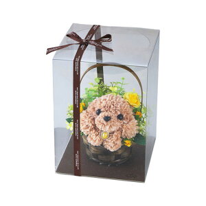 yN[|Lz Ε ~Mtg ̑i  yz t[ps[qgCv[hr  ̑i  6000~ lC 6000~ hV v[g Cxg Z[ sale