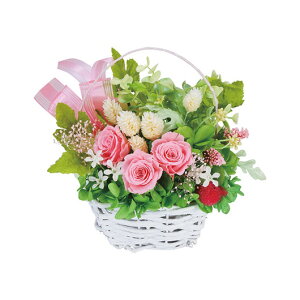 yN[|Lz Ε ~Mtg ԃMtg vU[uht[ yz vU[uht[ēqsNr vU[uht[ ԃMtg vU[uht[ 5000~ lC 500