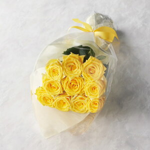 ̑i ϗtA yz ỏԑ@21{100{܂ł̂\݁qCG[r ϗtA ̑i ϗtA 400~ lC 300~ hV v[g Cxg Z[ sale