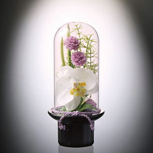 yN[|Lz Ε ~Mtg ̑i ϗtA yz qPRIMArv}@KXh[ԁ@Ӓiԁj ϗtA ̑i ϗtA 7000~ lC 6000~ hV v[g Cx