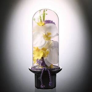 yN[|Lz Ε ~Mtg ̑i ϗtA yz qPRIMArv}@KXh[̋ԁ@Ӓiԁj ϗtA ̑i ϗtA 8000~ lC 8000~ hV v[g Cx