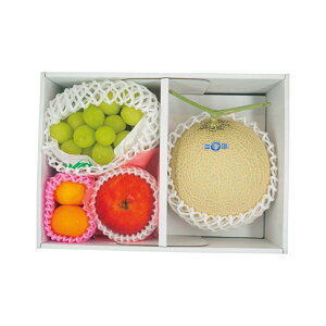 yN[|Lz Ε ~Mtg O Mtg Zbg yz {𖡂키t[clߍ킹 Zbg Mtg Zbg 9000~ lC 8000~ hV v[g Cx