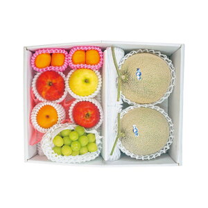 yN[|Lz Ε ~Mtg O Mtg Zbg yz {𖡂키t[clߍ킹 Zbg Mtg Zbg lC hV v[g Cxg Y Z[