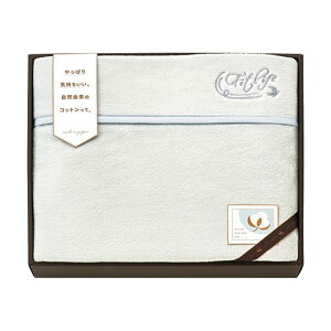 y27%OFFz Ε ~Mtg v`Mtg ސE ^I yz qRbgZNVMtgrYȂ߂炩ܕtȖѕz(hJ)(BY) O[ oX^I ̑i ސE Yx 肪