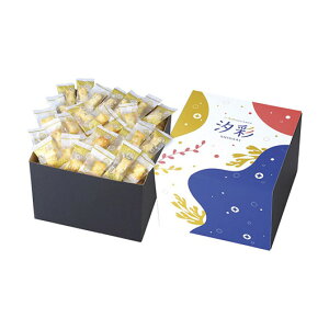 y17%OFFz Ε ~Mtg َq nEB َq  yz  ЂƂ  E v`Mtg َq Mtg  E 4000~ lC 4000~ h