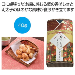 yN[|Lzy30%OFFz v`Mtg َq 500~ yz uӂ߂āvqdā@ĂI40gy60Pʁz E v`Mtg َq Mtg  E