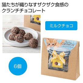 【クーポン有】 バレンタイン お菓子 ベビーミャオ　にゃんこクランチチョコ　ミルクチョコ【40個単位】 チョコレート プチギフト お菓子 ギフト チョコレート 900円 人気 900円台 敬老会 プレゼント イベント 国産 スイーツ チョコレ