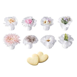 【10%OFF】 ハロウィン お菓子 個包装 【送料無料】 クラシックモーヴ単品 クッキー プチギフト お菓子 プチギフト クッキー 300円 人気 200円台 敬老会 プレゼント 結婚式 二次会 国産 スイーツ