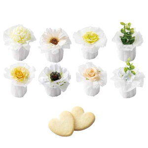 y10%OFFz nEB َq  yz XeBbNn[gPi NbL[ v`Mtg َq v`Mtg NbL[ 300~ lC 200~ hV v[g  񎟉 Y XC[